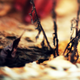 Illustration for article titled Shooting Challenge Freelensing Gallery 1